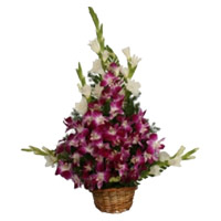 Rakhi Delivery in India with 8 Orchids and 10 Glads Arrangement