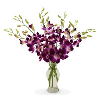 Best Online Delivery of Diwali Flowers in India. Purple Orchid Vase 10 Flowers Stem