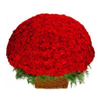 Order flowers to India for Father's Day. Red Roses Basket 500 Flowers Online Delivery in India