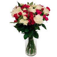 Online Diwali Flowers to India. White Pink Roses Vase 24 Flowers in India