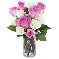 Send Rakhi to Navi India, Send Online Pink White Roses Vase 12 Flowers to India on Rakhi