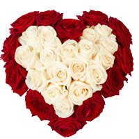Best Wedding Flowers to India. Send Red White Roses Heart 50 Flowers to India