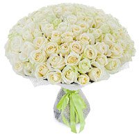 Best White Flowers to India