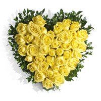 Flower Delivery in Vasco Da Gama. Send Yellow Roses Heart 40 Flowers to Vasco Da Gama