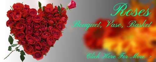 Birthday Roses to Visakhapatnam