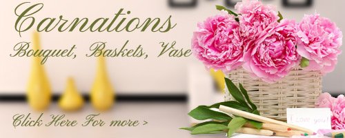 Carnations Flowers to Ernakulam
