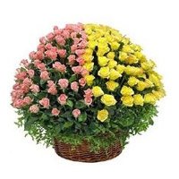 Online Diwali Flowers to India comprising 100 Pink and Yellow Roses Basket