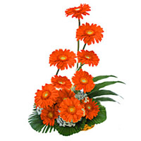 Valentine's Day Flower Delivery in India : Red Gerbera Bouquet