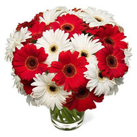 Send Online Best Flowers to New Bombay