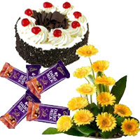 Best Arrangement of 12 yellow Gerbera with 5 Dairy Milk Silk(60 gm. each) and 1 kg Black Forest Diwali Cake in India Online