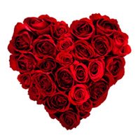 Place Order for Red Roses Heart Arrangement 100 Flowers in India for Anniversary