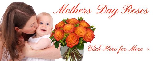 Mother's Day Roses to Muzaffarnagar