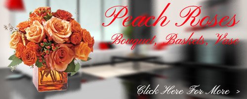 Peach Roses to Secunderabad