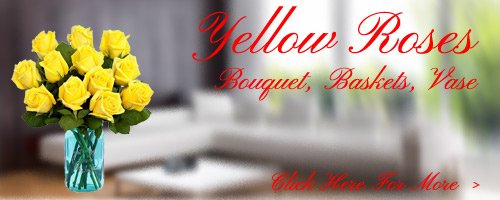 Yellow Roses to Bangalore